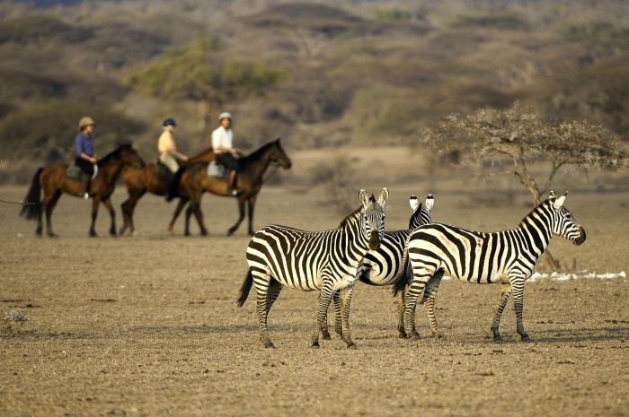 Kenya Safari Lodge - L'aventure en selle