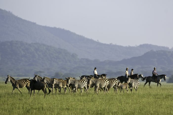 Kenya Safari Lodge - L'aventure en selle