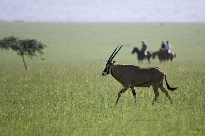Kenya Safari Lodge - L'aventure en selle