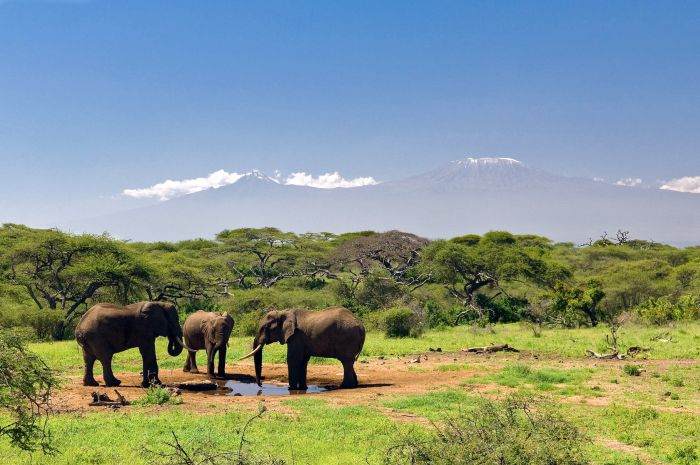 Kenya Safari Lodge - L'aventure en selle