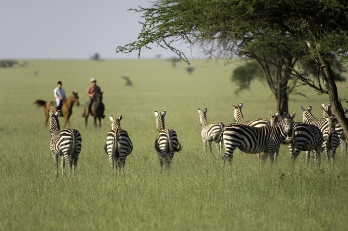 Kenya Safari Lodge - L'aventure en selle