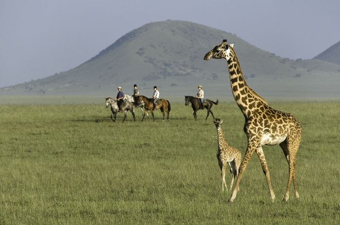 Kenya Safari Lodge - L'aventure en selle