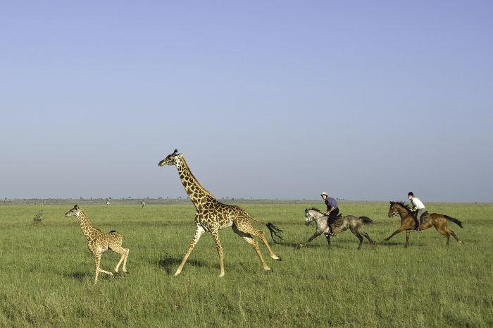 Kenya Safari Lodge - L'aventure en selle