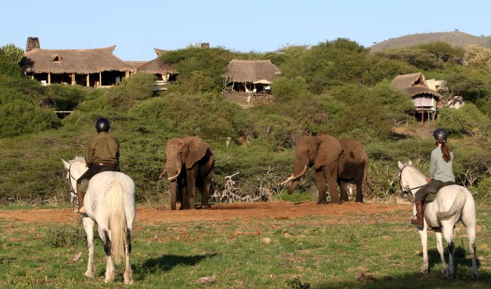 Kenya Safari Lodge - L'aventure en selle