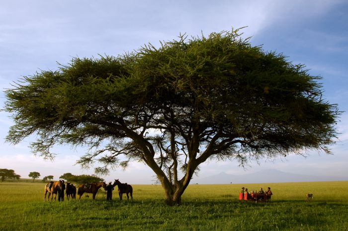 Kenya Safari Lodge - L'aventure en selle
