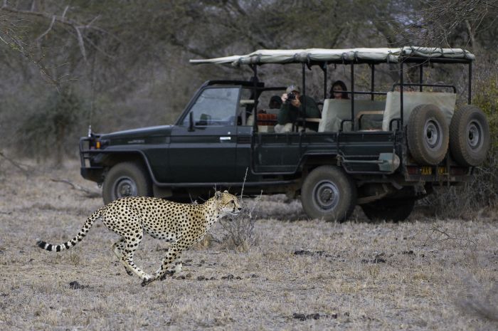 Kenya Safari Lodge - L'aventure en selle