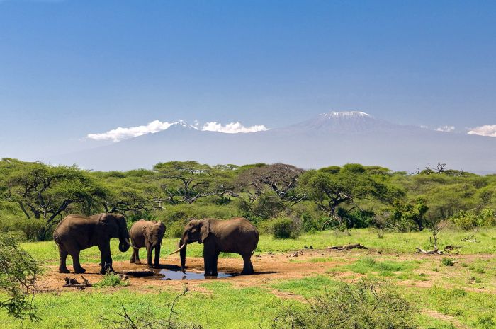Kenya Safari Lodge - L'aventure en selle