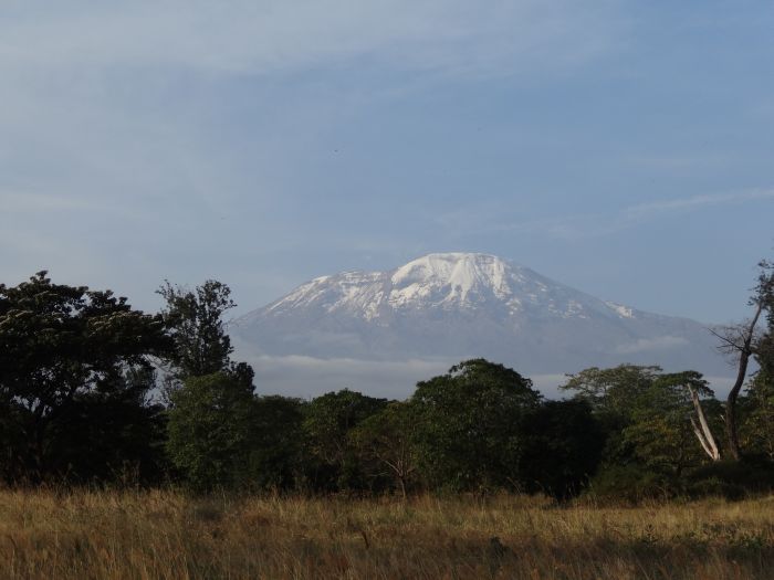 L'écurie du Kilimandjaro