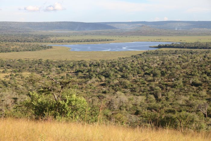 Safari du lac Mburo