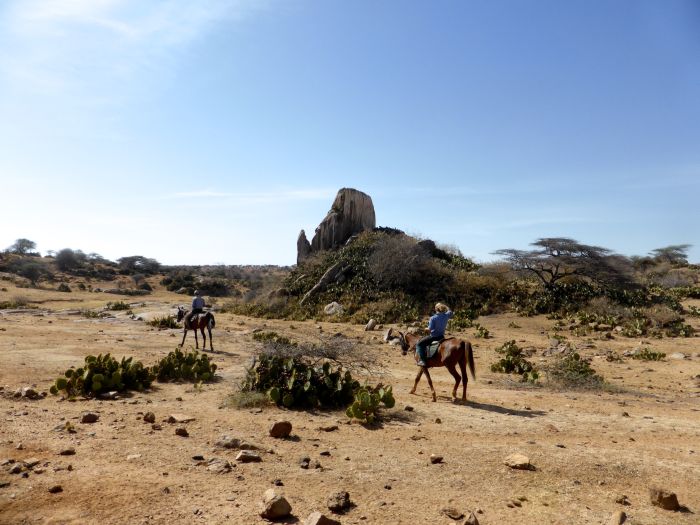Laikipia Safari Lodge