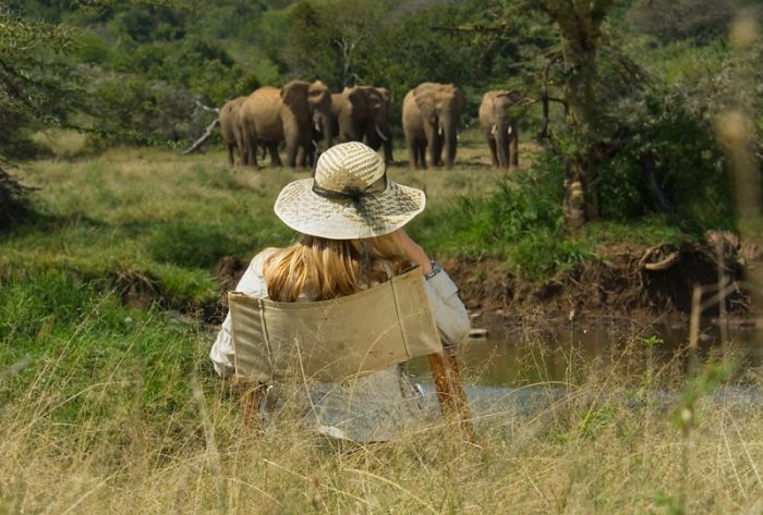Laikipia Safari Lodge