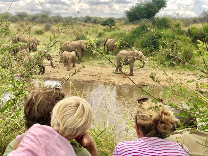 Laikipia Safari Lodge