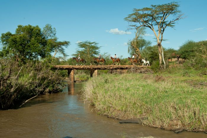 Laikipia Safari Lodge