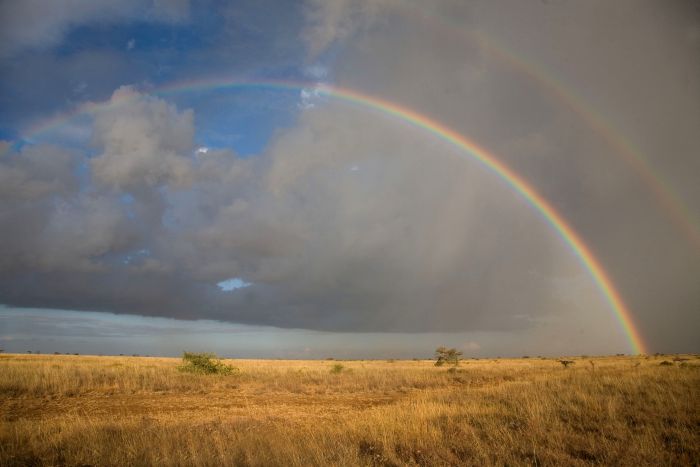 Laikipia Safari Lodge