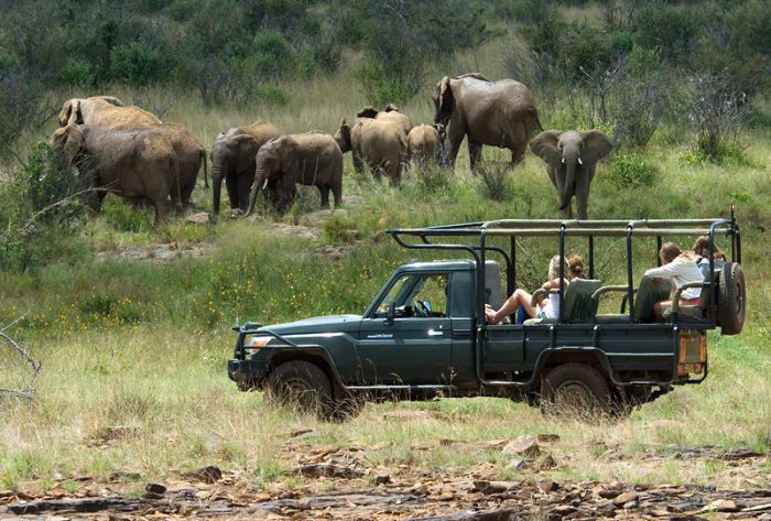 Laikipia Safari Lodge