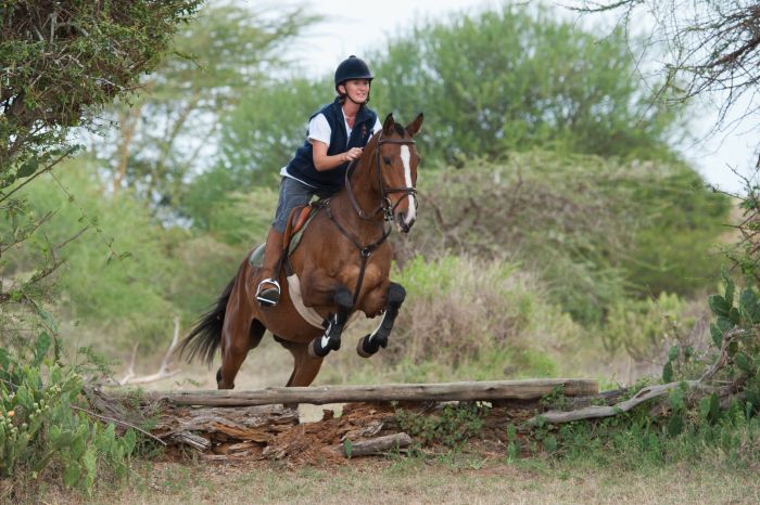 Laikipia Safari Lodge
