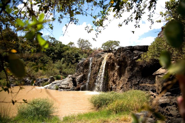 Laikipia Safari Lodge