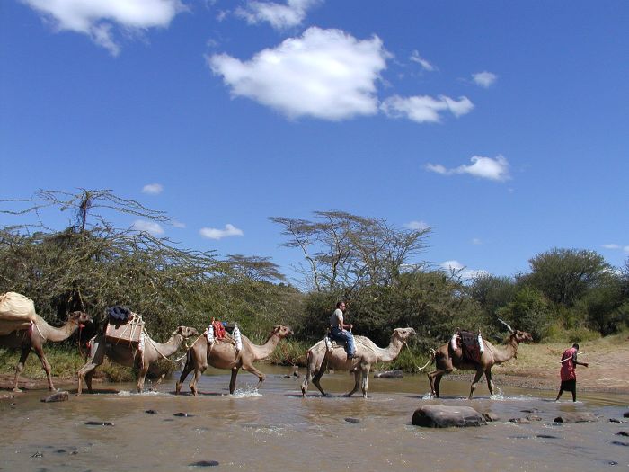 Laikipia Safari Lodge