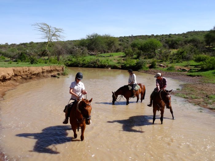 Laikipia Safari Lodge