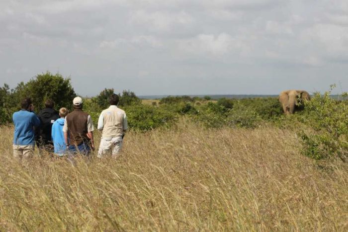Laikipia Safari Lodge