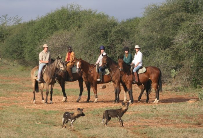 Laikipia Safari Lodge