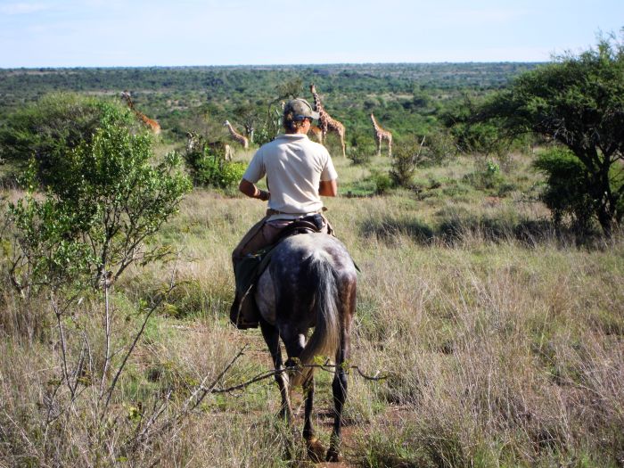 Laikipia Safari Lodge