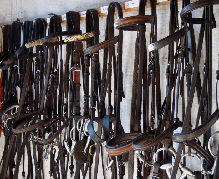 Safaris &agrave; cheval au Zimbabwe