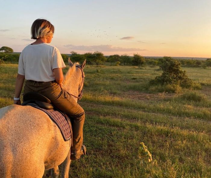 Safaris &agrave; cheval au Zimbabwe