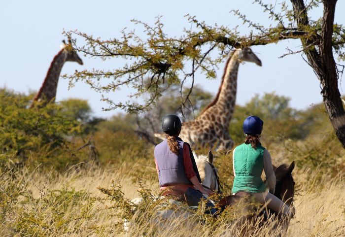 Safaris &agrave; cheval au Zimbabwe