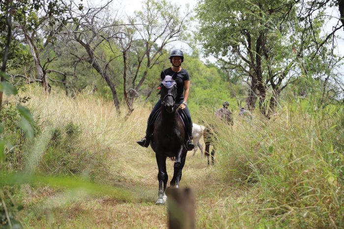 Safaris &agrave; cheval au Zimbabwe