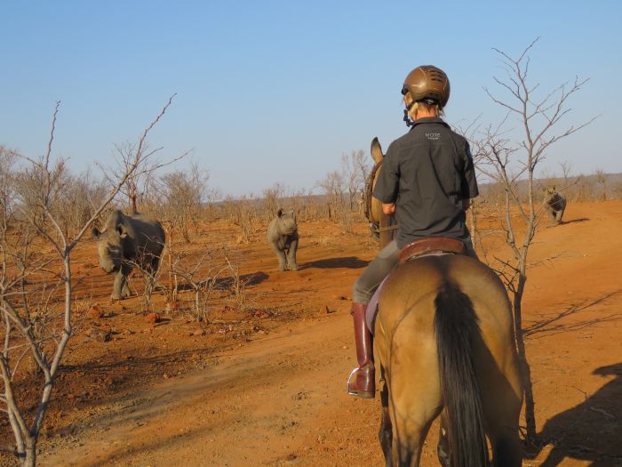 Équitation, canoë et safari au gros gibier au Zambèze