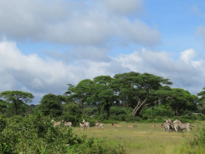 Équitation, canoë et safari au gros gibier au Zambèze