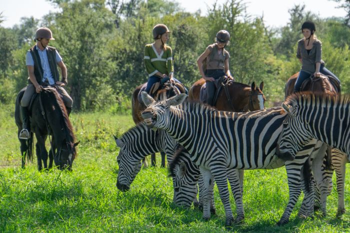 Équitation, canoë et safari au gros gibier au Zambèze