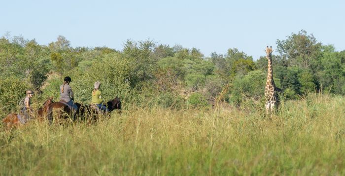 Équitation, canoë et safari au gros gibier au Zambèze