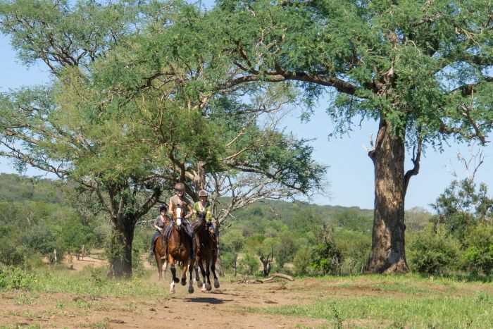 Équitation, canoë et safari au gros gibier au Zambèze