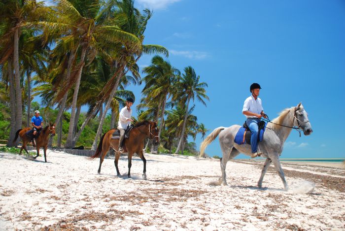 Plage paradisiaque au Mozambique