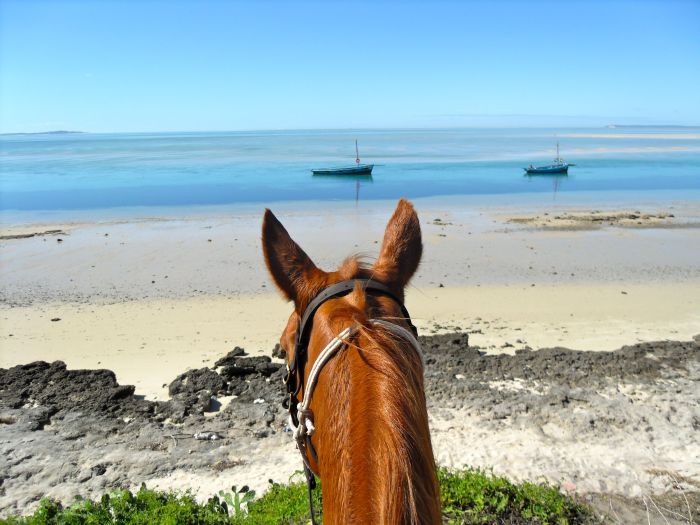 Plage paradisiaque au Mozambique