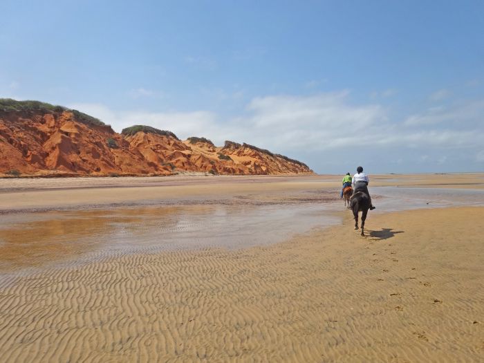 Plage paradisiaque au Mozambique