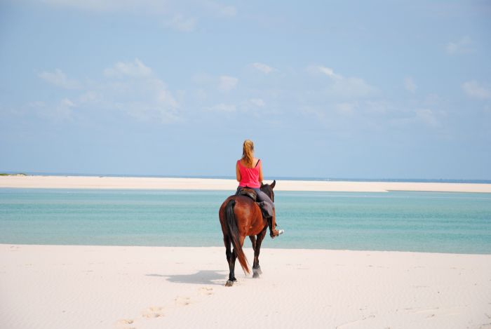 Plage paradisiaque au Mozambique