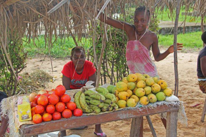 Plage paradisiaque au Mozambique