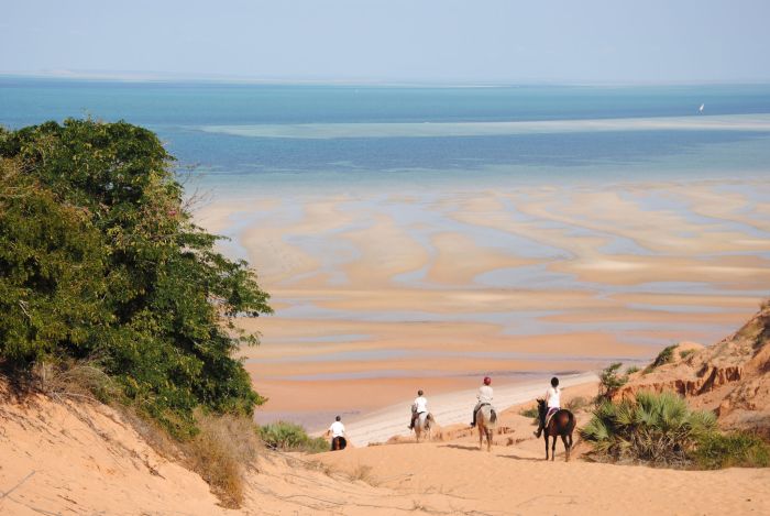 Plage paradisiaque au Mozambique