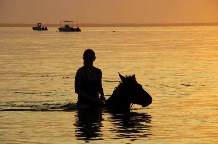 Plage paradisiaque au Mozambique