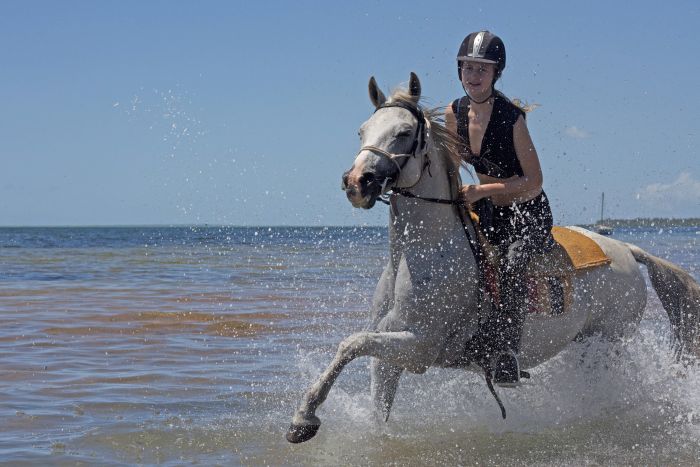 Plage paradisiaque au Mozambique