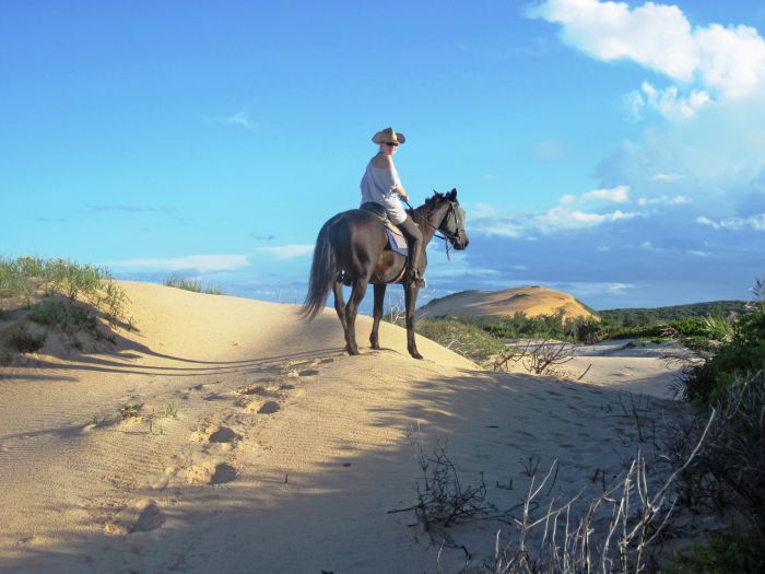 Plage paradisiaque au Mozambique