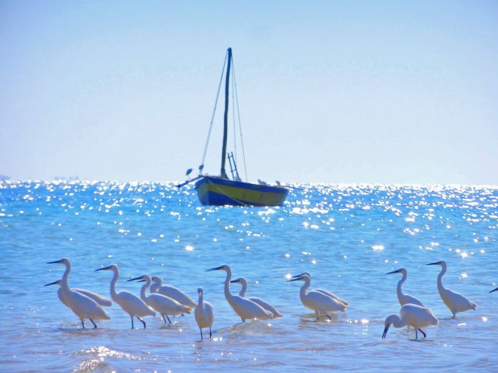 Plage paradisiaque au Mozambique