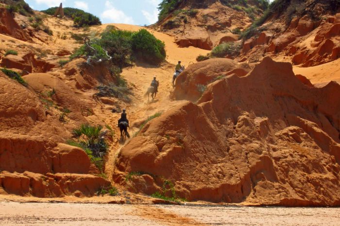 Plage paradisiaque au Mozambique