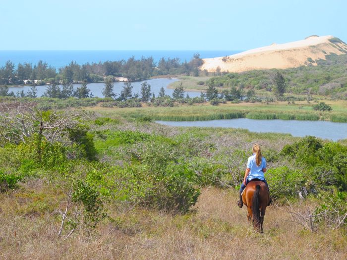 Plage paradisiaque au Mozambique