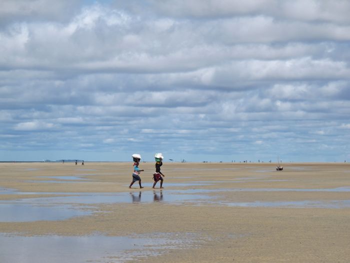 Plage paradisiaque au Mozambique