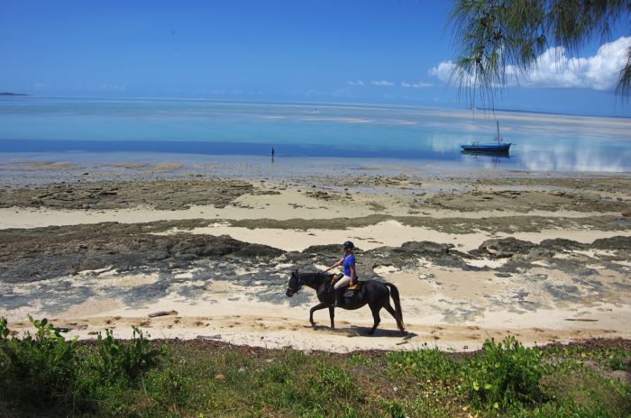 Plage paradisiaque au Mozambique