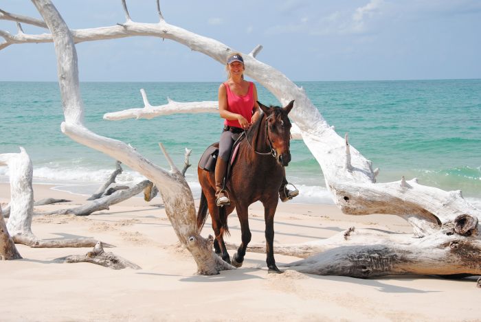 Plage paradisiaque au Mozambique